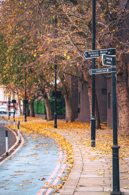 A street scene during autumn featuring a paved sidewalk and a bike lane separated by a low curb, with fallen yellow and orange leaves scattered across both surfaces. Tall trees with branches partially